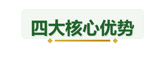 四大核心优势