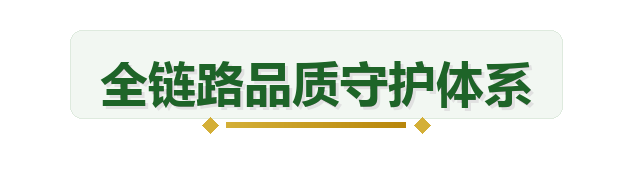 全链路品质守护体系